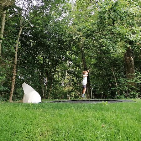5Sterne Ferienwohnung Im Fachwerk Mit Bergblick In Alleinlage Und Grossem Garten, Infrarotkabine Humberg エクステリア 写真
