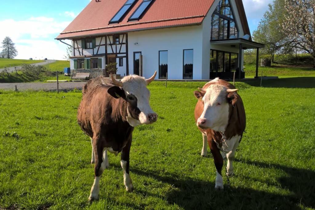 5Sterne Ferienwohnung Im Fachwerk Mit Bergblick In Alleinlage Und Grossem Garten, Infrarotkabine Humberg エクステリア 写真