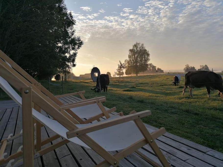 5Sterne Ferienwohnung Im Fachwerk Mit Bergblick In Alleinlage Und Grossem Garten, Infrarotkabine Humberg エクステリア 写真