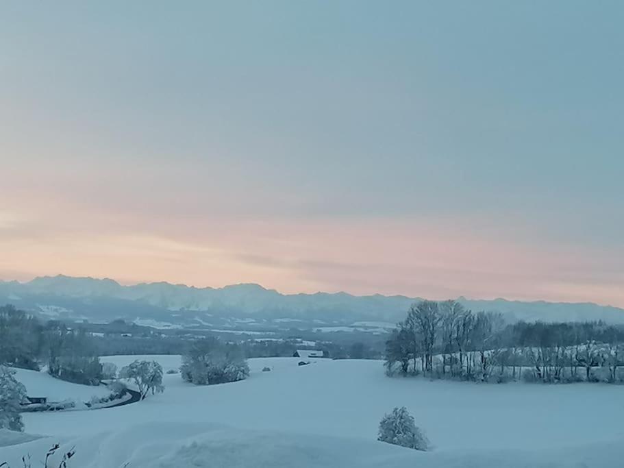 5Sterne Ferienwohnung Im Fachwerk Mit Bergblick In Alleinlage Und Grossem Garten, Infrarotkabine Humberg エクステリア 写真