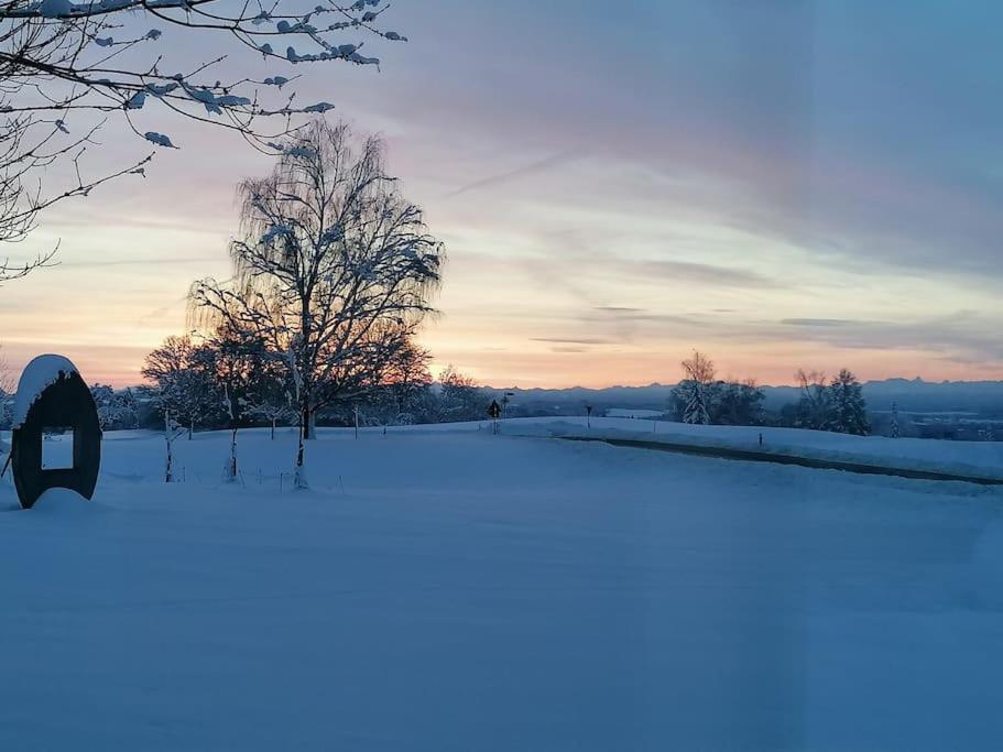 5Sterne Ferienwohnung Im Fachwerk Mit Bergblick In Alleinlage Und Grossem Garten, Infrarotkabine Humberg エクステリア 写真
