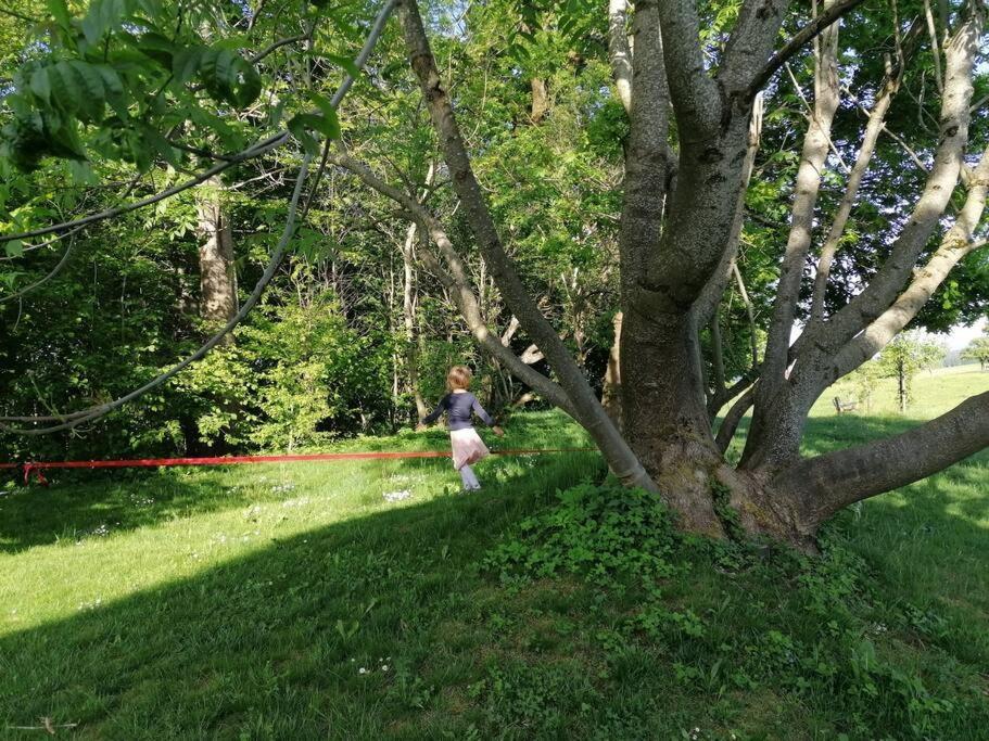 5Sterne Ferienwohnung Im Fachwerk Mit Bergblick In Alleinlage Und Grossem Garten, Infrarotkabine Humberg エクステリア 写真