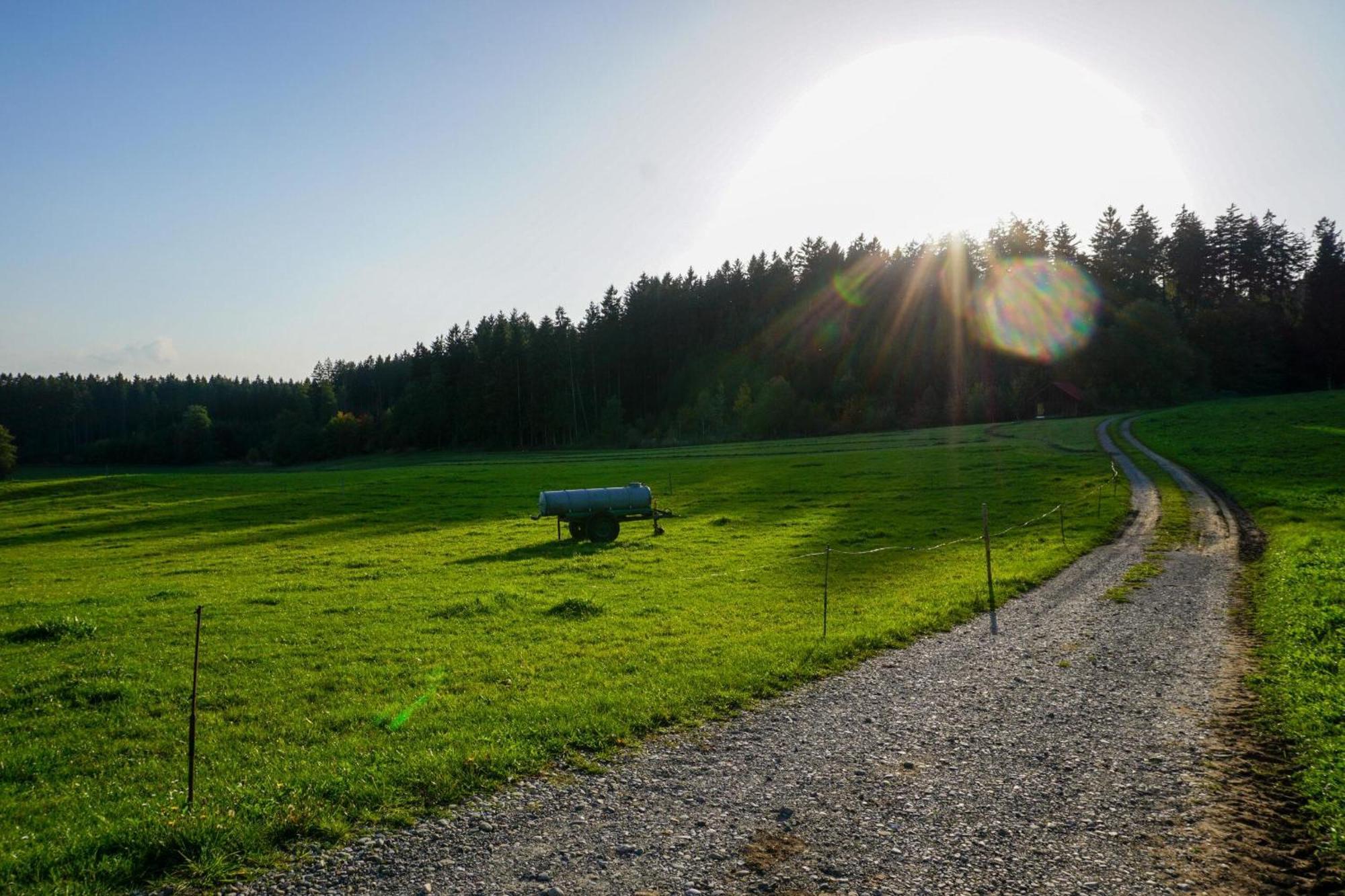 5Sterne Ferienwohnung Im Fachwerk Mit Bergblick In Alleinlage Und Grossem Garten, Infrarotkabine Humberg エクステリア 写真