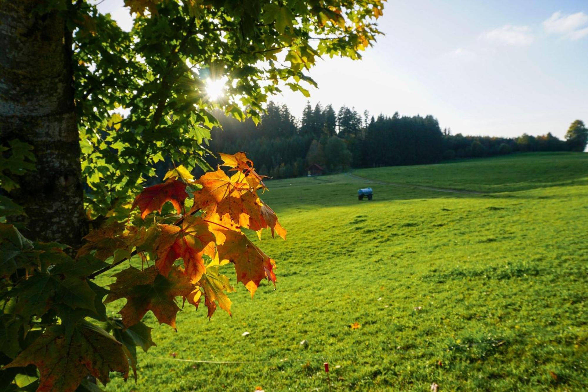 5Sterne Ferienwohnung Im Fachwerk Mit Bergblick In Alleinlage Und Grossem Garten, Infrarotkabine Humberg エクステリア 写真